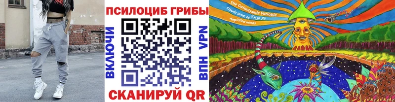 Псилоцибиновые грибы Psilocybe  хочу   Химки 